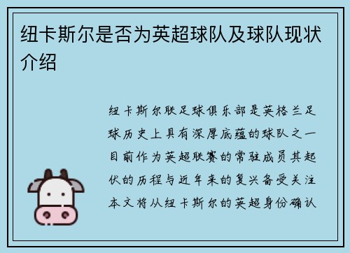 纽卡斯尔是否为英超球队及球队现状介绍